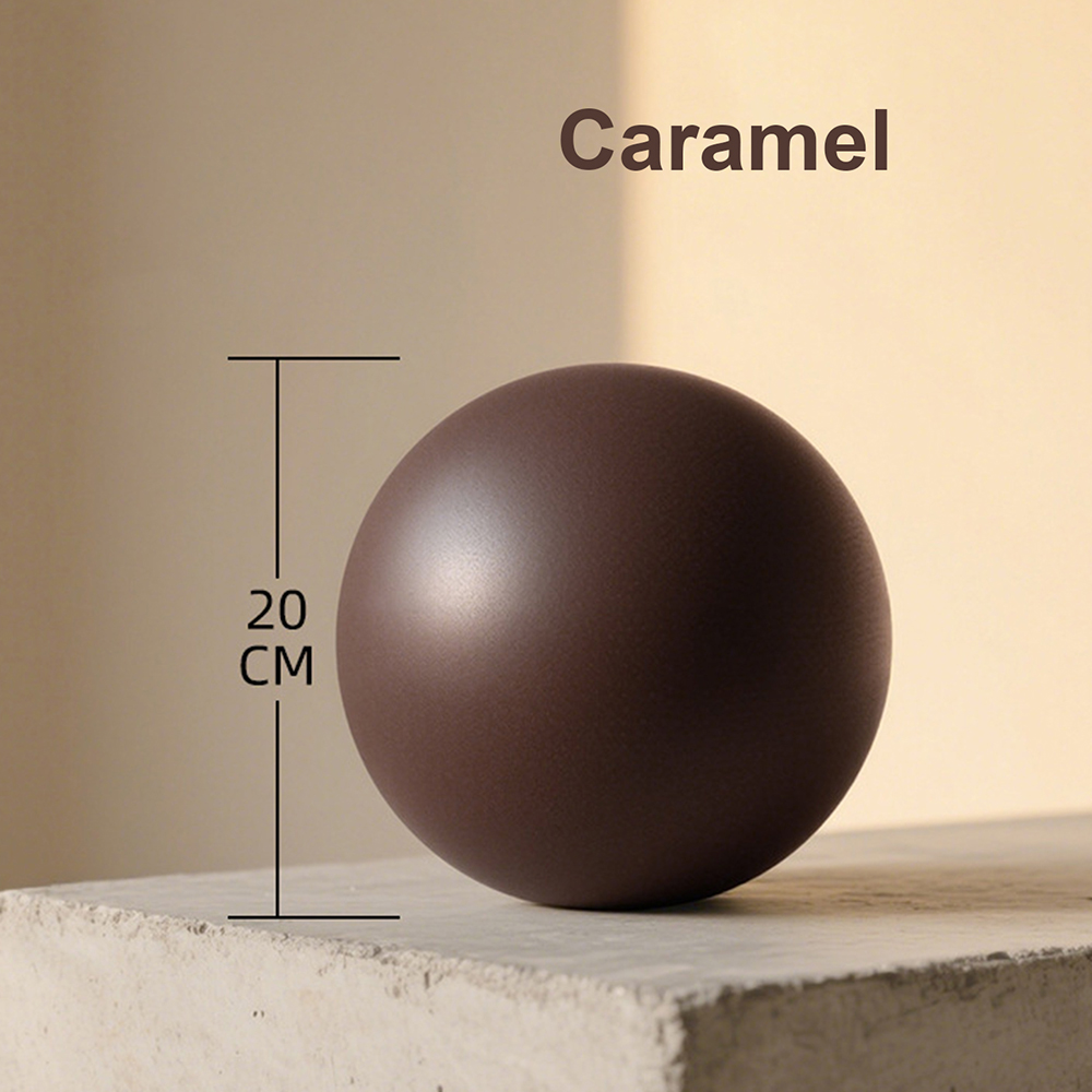 20cm Matte Exercise Ball Barre – обзор и цена Pilates Yoga Barre
