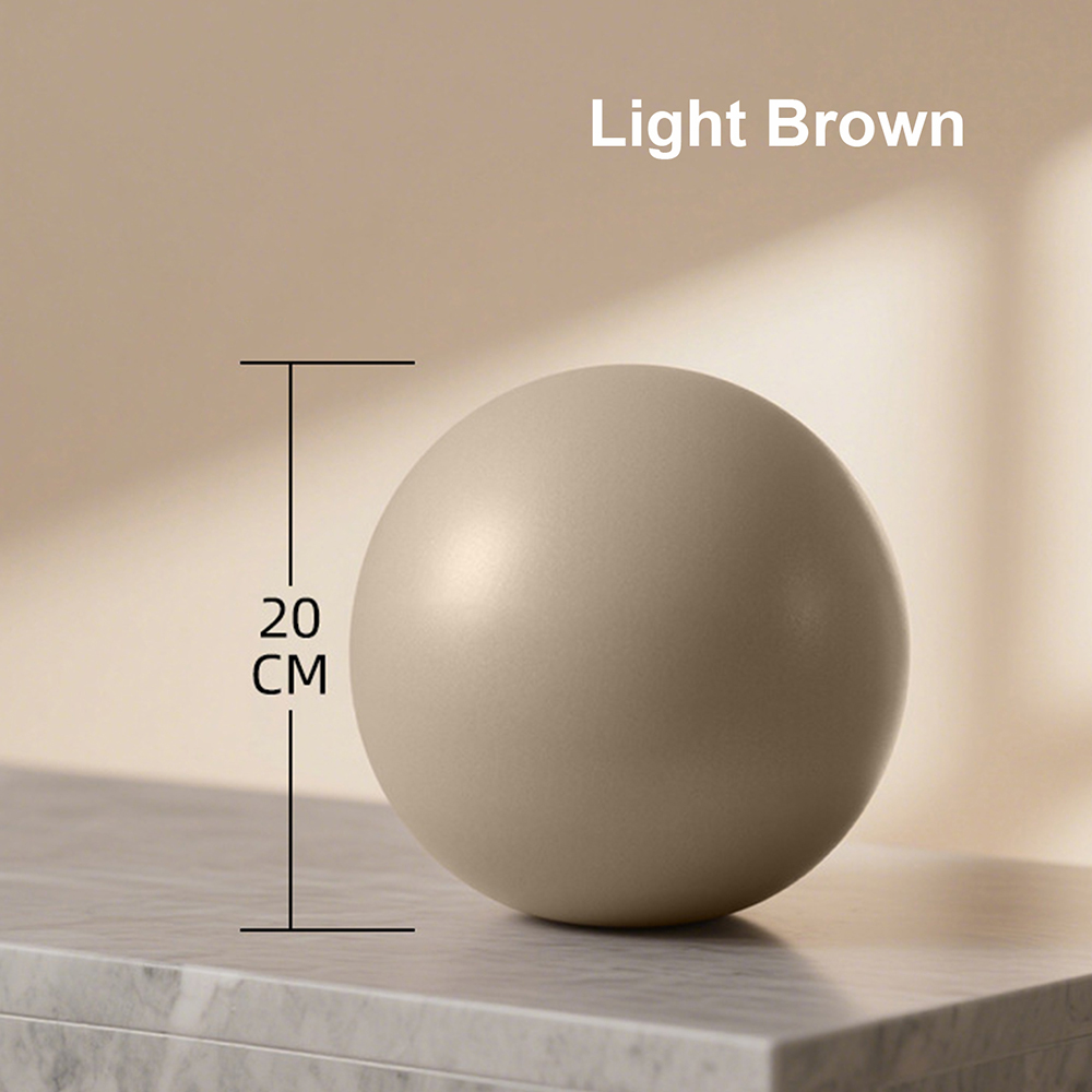 20cm Matte Exercise Ball Barre – обзор и цена Pilates Yoga Barre